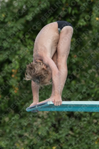 2017 - 8. Sofia Diving Cup 2017 - 8. Sofia Diving Cup 03012_23413.jpg