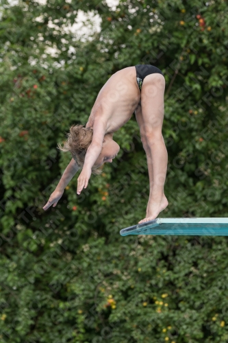 2017 - 8. Sofia Diving Cup 2017 - 8. Sofia Diving Cup 03012_23416.jpg