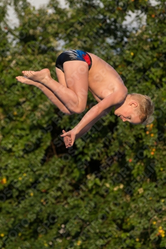2017 - 8. Sofia Diving Cup 2017 - 8. Sofia Diving Cup 03012_23475.jpg