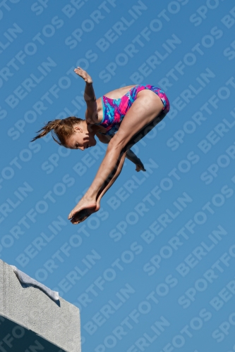 2017 - 8. Sofia Diving Cup 2017 - 8. Sofia Diving Cup 03012_23605.jpg