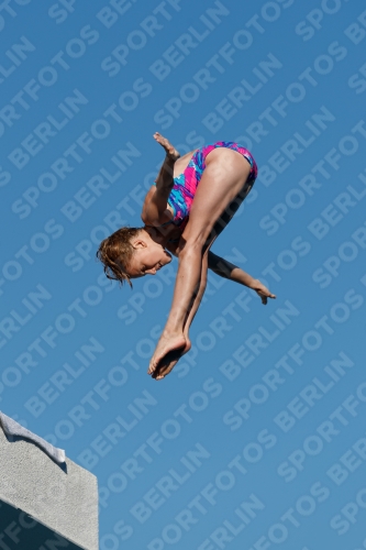 2017 - 8. Sofia Diving Cup 2017 - 8. Sofia Diving Cup 03012_23606.jpg