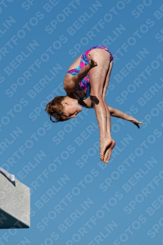 2017 - 8. Sofia Diving Cup 2017 - 8. Sofia Diving Cup 03012_23607.jpg