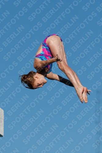 2017 - 8. Sofia Diving Cup 2017 - 8. Sofia Diving Cup 03012_23608.jpg