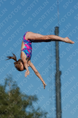 2017 - 8. Sofia Diving Cup 2017 - 8. Sofia Diving Cup 03012_23610.jpg