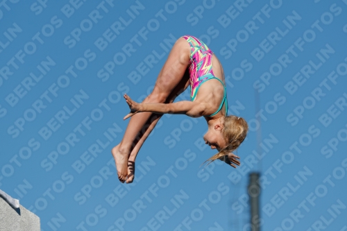 2017 - 8. Sofia Diving Cup 2017 - 8. Sofia Diving Cup 03012_23614.jpg