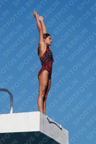 2017 - 8. Sofia Diving Cup 2017 - 8. Sofia Diving Cup 03012_23621.jpg