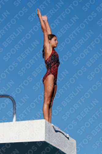 2017 - 8. Sofia Diving Cup 2017 - 8. Sofia Diving Cup 03012_23622.jpg