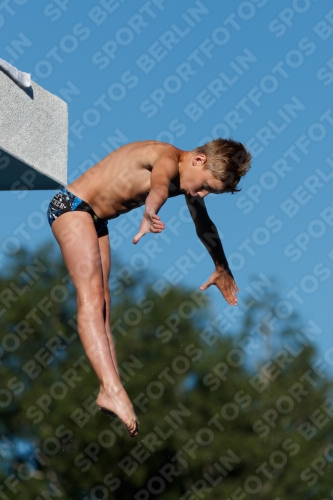 2017 - 8. Sofia Diving Cup 2017 - 8. Sofia Diving Cup 03012_23636.jpg