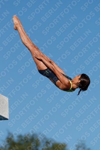 2017 - 8. Sofia Diving Cup 2017 - 8. Sofia Diving Cup 03012_23651.jpg