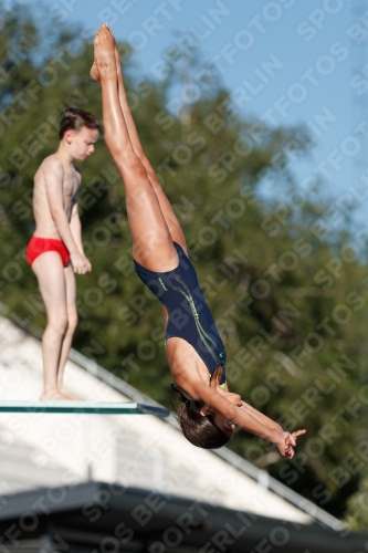 2017 - 8. Sofia Diving Cup 2017 - 8. Sofia Diving Cup 03012_23654.jpg