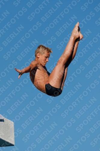 2017 - 8. Sofia Diving Cup 2017 - 8. Sofia Diving Cup 03012_23662.jpg