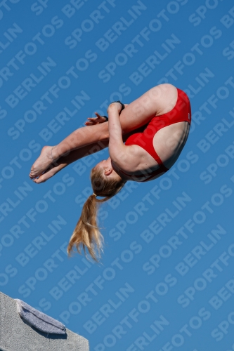2017 - 8. Sofia Diving Cup 2017 - 8. Sofia Diving Cup 03012_23681.jpg