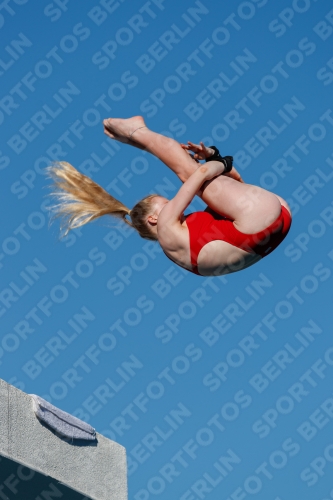 2017 - 8. Sofia Diving Cup 2017 - 8. Sofia Diving Cup 03012_23682.jpg