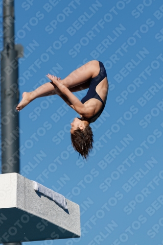 2017 - 8. Sofia Diving Cup 2017 - 8. Sofia Diving Cup 03012_23693.jpg