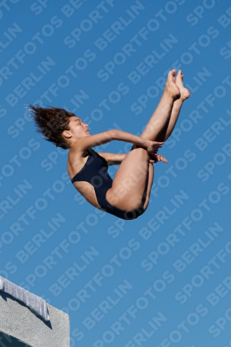 2017 - 8. Sofia Diving Cup 2017 - 8. Sofia Diving Cup 03012_23695.jpg