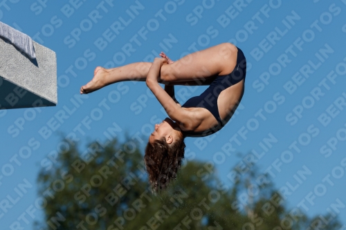 2017 - 8. Sofia Diving Cup 2017 - 8. Sofia Diving Cup 03012_23699.jpg
