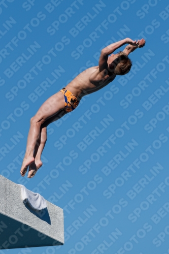 2017 - 8. Sofia Diving Cup 2017 - 8. Sofia Diving Cup 03012_23717.jpg