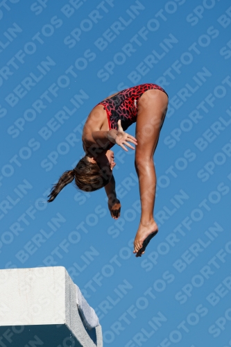 2017 - 8. Sofia Diving Cup 2017 - 8. Sofia Diving Cup 03012_23732.jpg