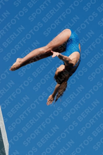 2017 - 8. Sofia Diving Cup 2017 - 8. Sofia Diving Cup 03012_23758.jpg