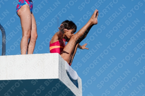 2017 - 8. Sofia Diving Cup 2017 - 8. Sofia Diving Cup 03012_23770.jpg