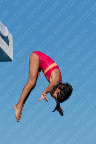 2017 - 8. Sofia Diving Cup 2017 - 8. Sofia Diving Cup 03012_23773.jpg