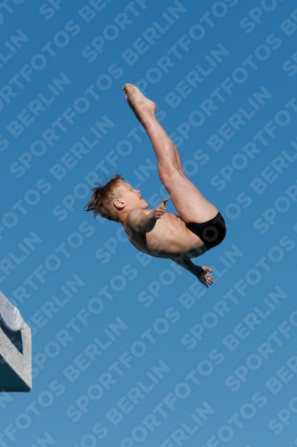 2017 - 8. Sofia Diving Cup 2017 - 8. Sofia Diving Cup 03012_23781.jpg