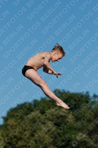 2017 - 8. Sofia Diving Cup 2017 - 8. Sofia Diving Cup 03012_23783.jpg