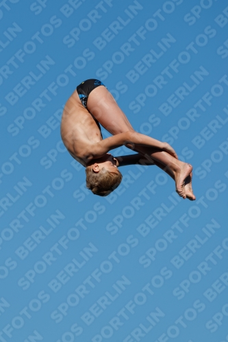 2017 - 8. Sofia Diving Cup 2017 - 8. Sofia Diving Cup 03012_23806.jpg
