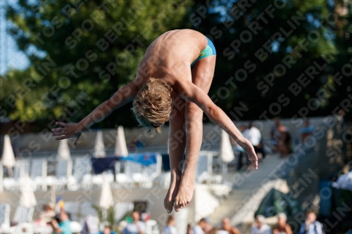 2017 - 8. Sofia Diving Cup 2017 - 8. Sofia Diving Cup 03012_23951.jpg