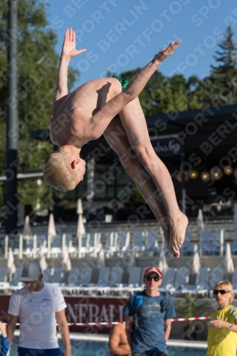 2017 - 8. Sofia Diving Cup 2017 - 8. Sofia Diving Cup 03012_24094.jpg