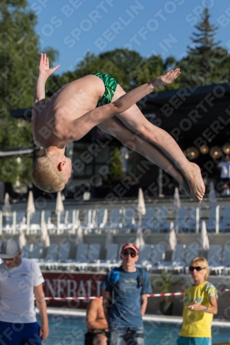 2017 - 8. Sofia Diving Cup 2017 - 8. Sofia Diving Cup 03012_24095.jpg