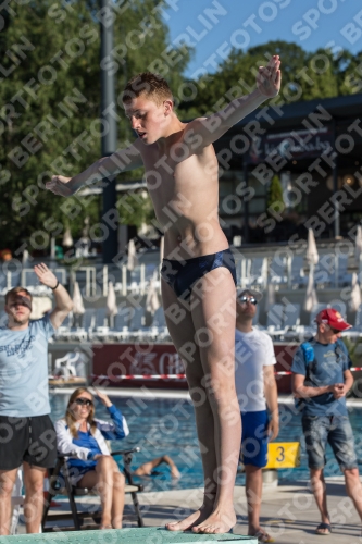 2017 - 8. Sofia Diving Cup 2017 - 8. Sofia Diving Cup 03012_24153.jpg