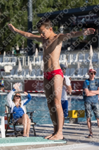 2017 - 8. Sofia Diving Cup 2017 - 8. Sofia Diving Cup 03012_24171.jpg
