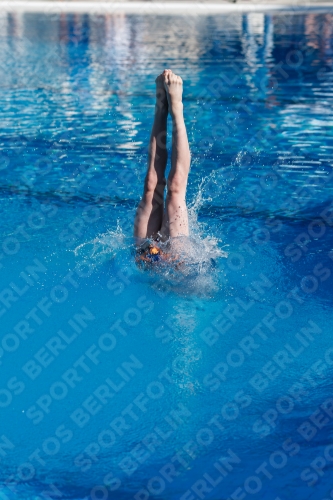 2017 - 8. Sofia Diving Cup 2017 - 8. Sofia Diving Cup 03012_24243.jpg