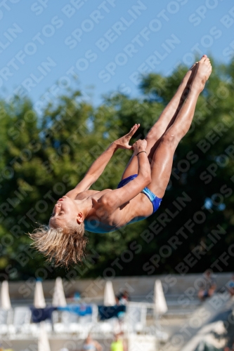 2017 - 8. Sofia Diving Cup 2017 - 8. Sofia Diving Cup 03012_24358.jpg