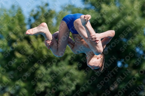 2017 - 8. Sofia Diving Cup 2017 - 8. Sofia Diving Cup 03012_24454.jpg