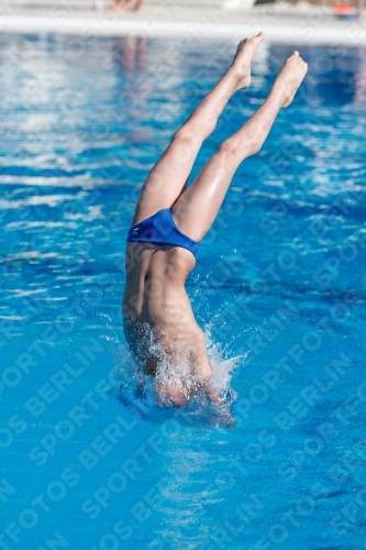 2017 - 8. Sofia Diving Cup 2017 - 8. Sofia Diving Cup 03012_24462.jpg