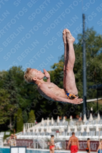 2017 - 8. Sofia Diving Cup 2017 - 8. Sofia Diving Cup 03012_24509.jpg