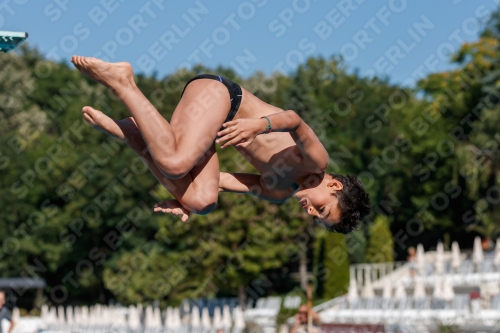 2017 - 8. Sofia Diving Cup 2017 - 8. Sofia Diving Cup 03012_24527.jpg