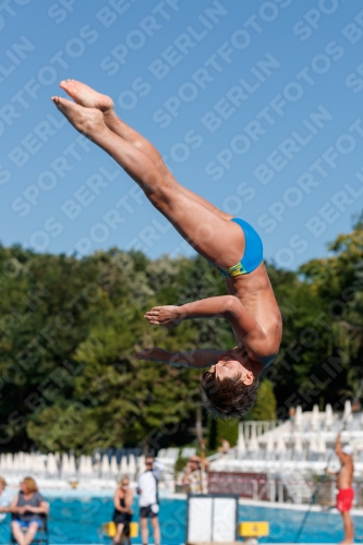 2017 - 8. Sofia Diving Cup 2017 - 8. Sofia Diving Cup 03012_24535.jpg