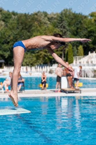 2017 - 8. Sofia Diving Cup 2017 - 8. Sofia Diving Cup 03012_24577.jpg