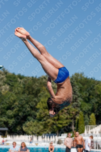2017 - 8. Sofia Diving Cup 2017 - 8. Sofia Diving Cup 03012_24580.jpg