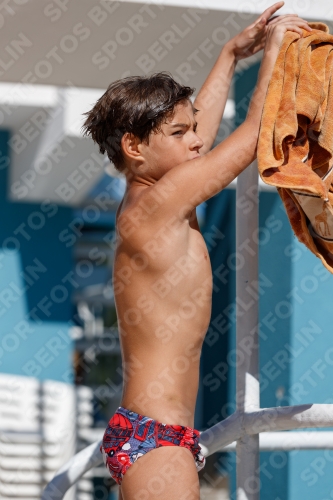 2017 - 8. Sofia Diving Cup 2017 - 8. Sofia Diving Cup 03012_24632.jpg