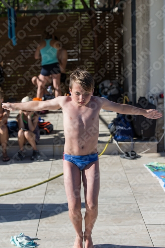 2017 - 8. Sofia Diving Cup 2017 - 8. Sofia Diving Cup 03012_24672.jpg