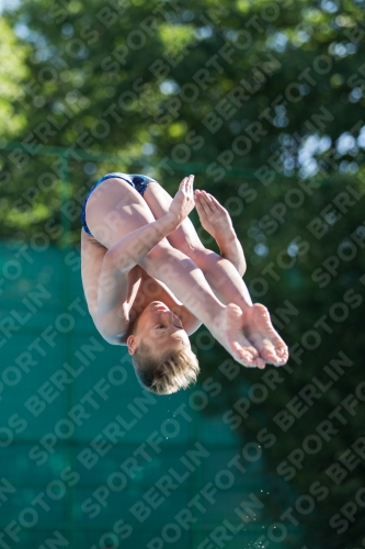 2017 - 8. Sofia Diving Cup 2017 - 8. Sofia Diving Cup 03012_24678.jpg