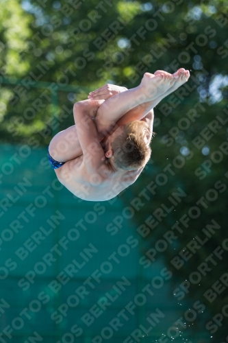 2017 - 8. Sofia Diving Cup 2017 - 8. Sofia Diving Cup 03012_24679.jpg