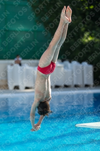 2017 - 8. Sofia Diving Cup 2017 - 8. Sofia Diving Cup 03012_24837.jpg