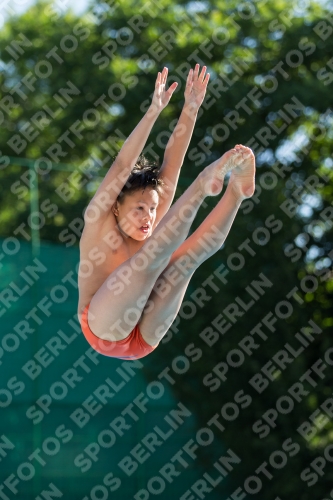 2017 - 8. Sofia Diving Cup 2017 - 8. Sofia Diving Cup 03012_24866.jpg
