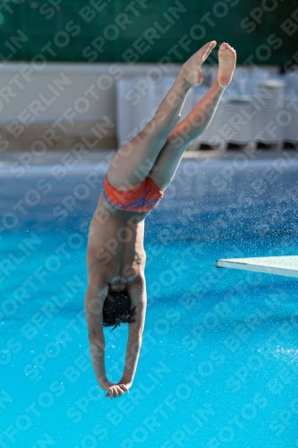 2017 - 8. Sofia Diving Cup 2017 - 8. Sofia Diving Cup 03012_24867.jpg