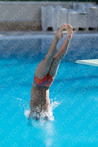 2017 - 8. Sofia Diving Cup 2017 - 8. Sofia Diving Cup 03012_24868.jpg